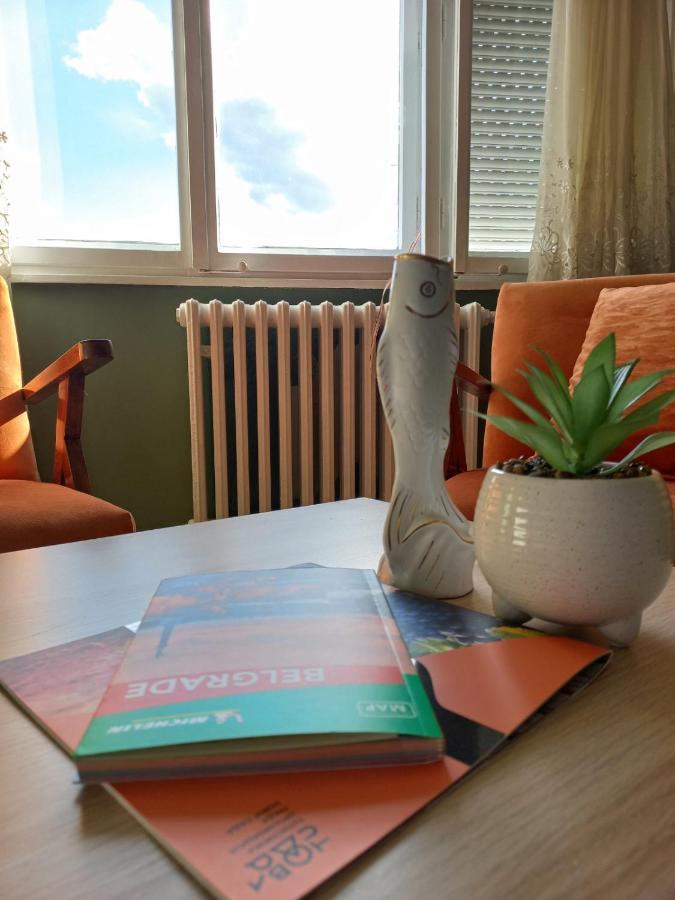 Apartman Central Place Belgrad Zewnętrze zdjęcie